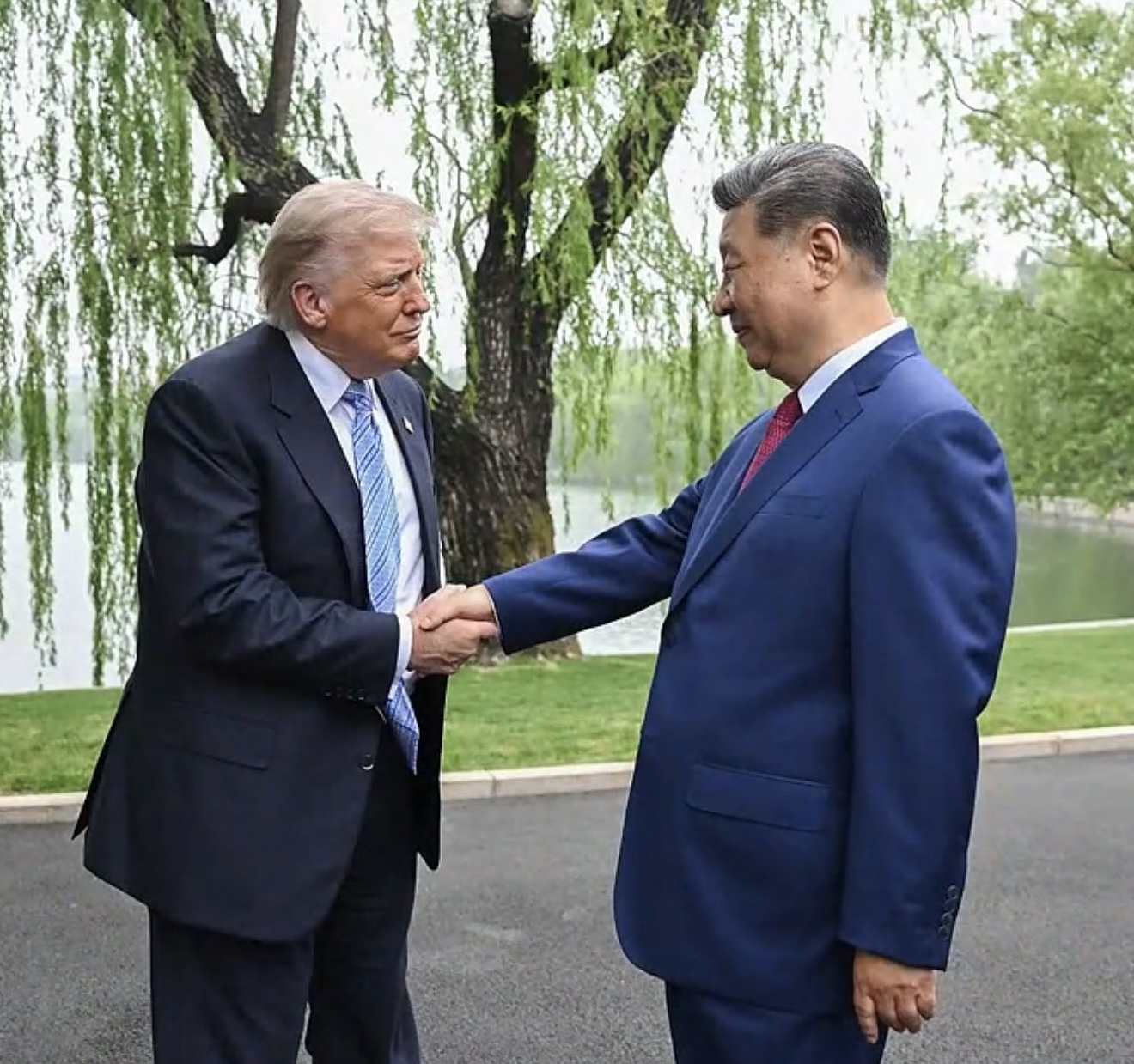 Handshake by the willows